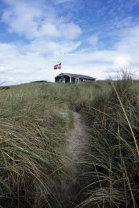 Ferienhaus in den Dünen